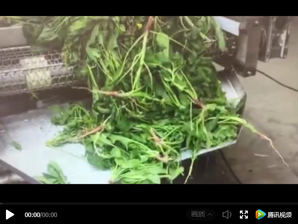 果蔬清洗線視頻